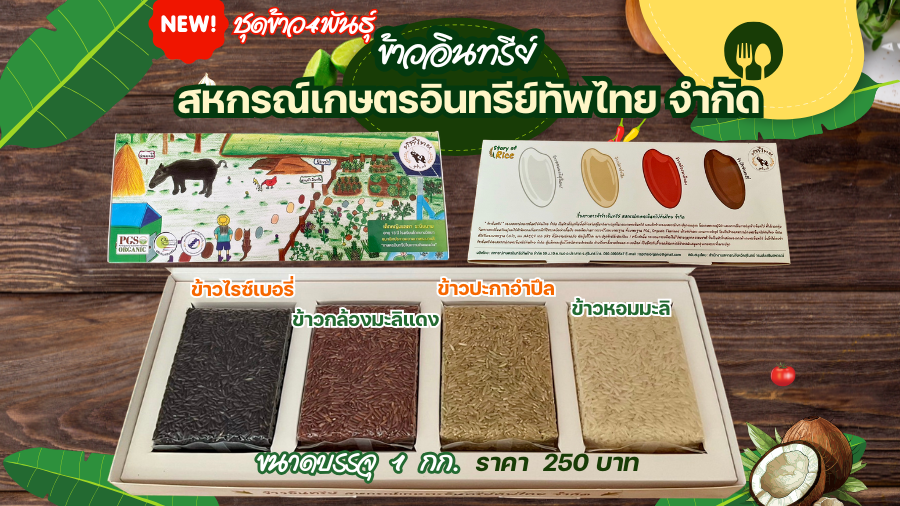 สินค้าข้าวสารอินทรีย์ ของสหกรณ์เกษตรอินทรีย์ทัพไทย จำกัด จังหวัดสุรินทร์